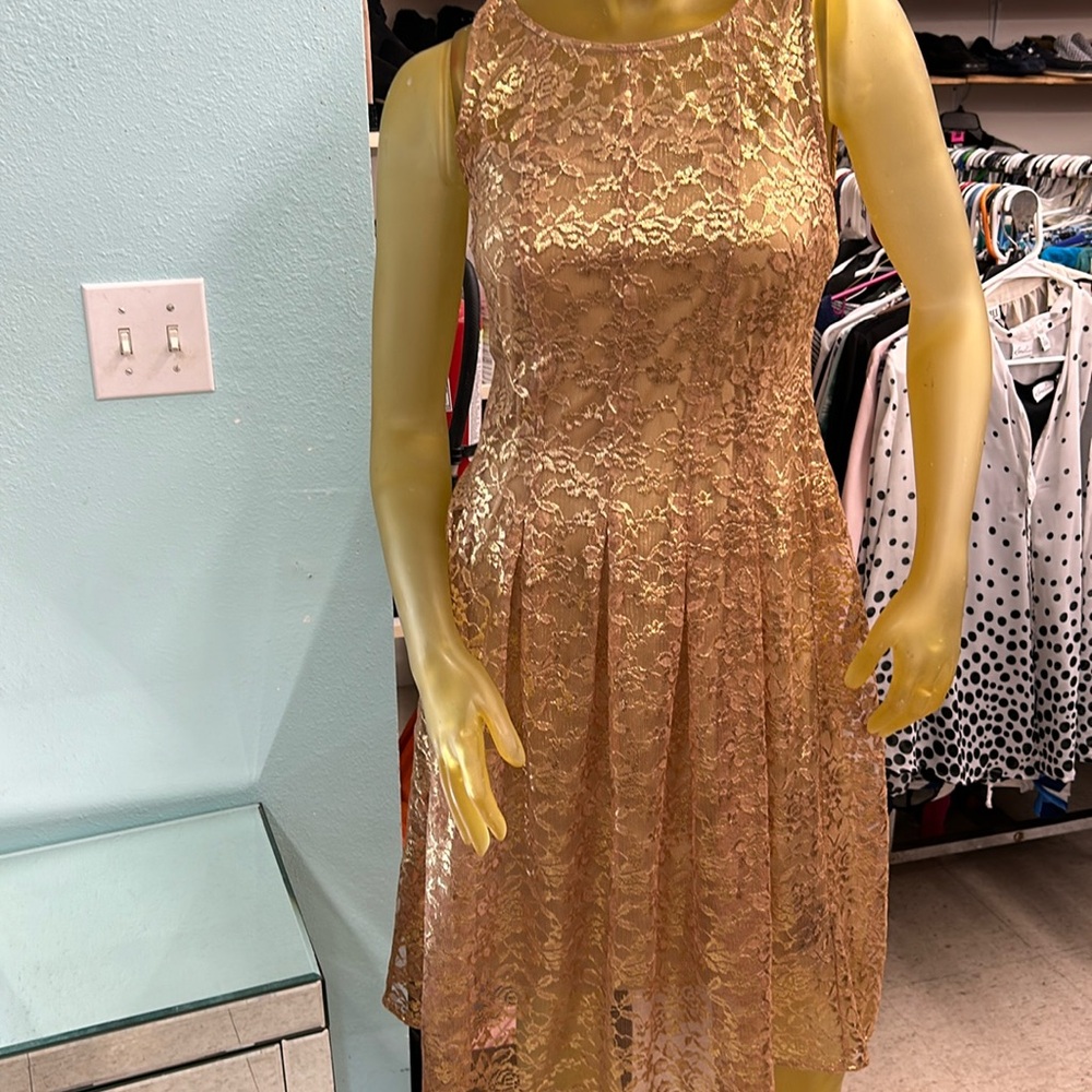 LF Lace Dress